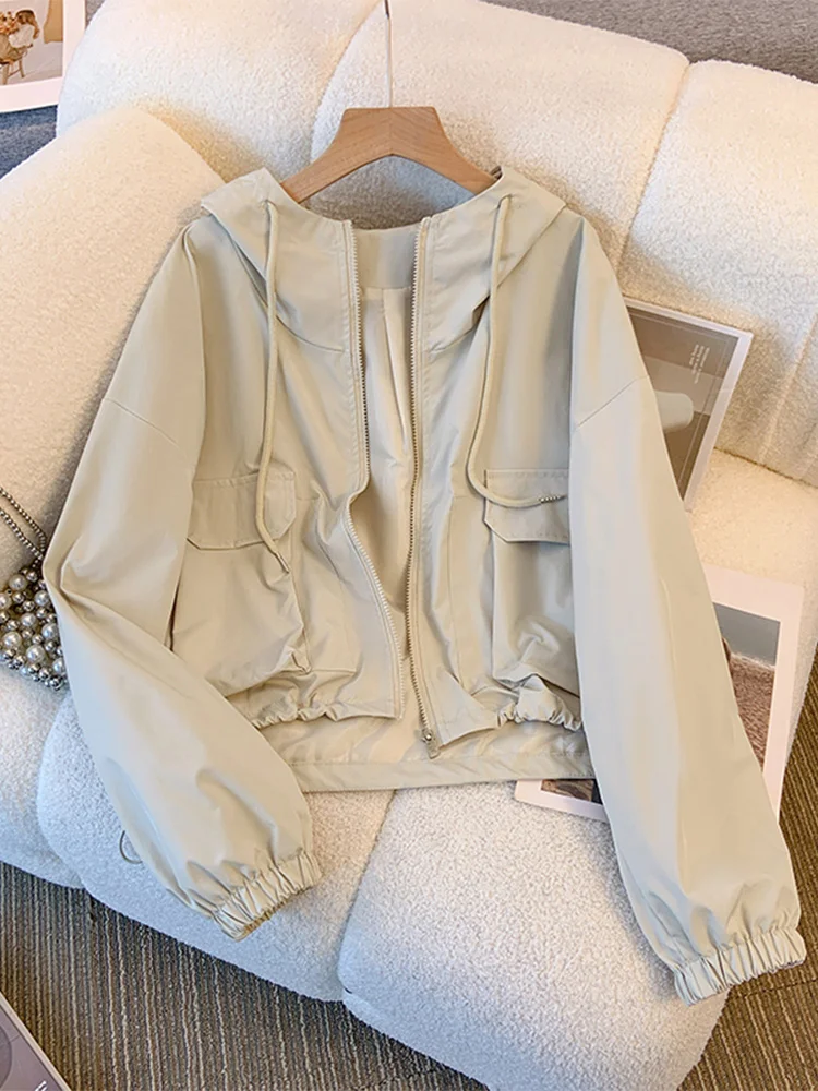 Повседневная рабочая одежда: Женская весенне-осенняя ветровка нового спортивного дизайна, свободного кроя, из полиэфирного волокна
Повседневная рабочая одежда: Женская весенне-осенняя ветровка нового спортивного дизайна, свободного кроя, из полиэфирного волокна