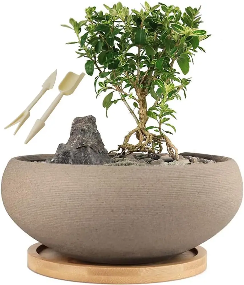 Large Unglazed Ceramic Bonsai Pot with Bamboo Tray, 8 Inch Rough Succulent Planter with Drainage Hole
Large Unglazed Ceramic Bonsai Pot with Bamboo Tray, 8 Inch Rough Succulent Planter with Drainage Hole