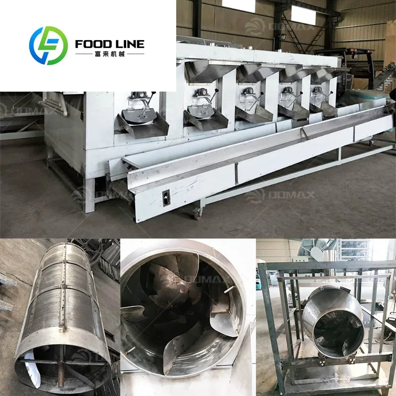 Professional Peanut Walnut Roaster Machine Pea Pumpkin Seeds Roasting Machine Pecan Baking Machine
Professional Peanut Walnut Roaster Machine Pea Pumpkin Seeds Roasting Machine Pecan Baking Machine