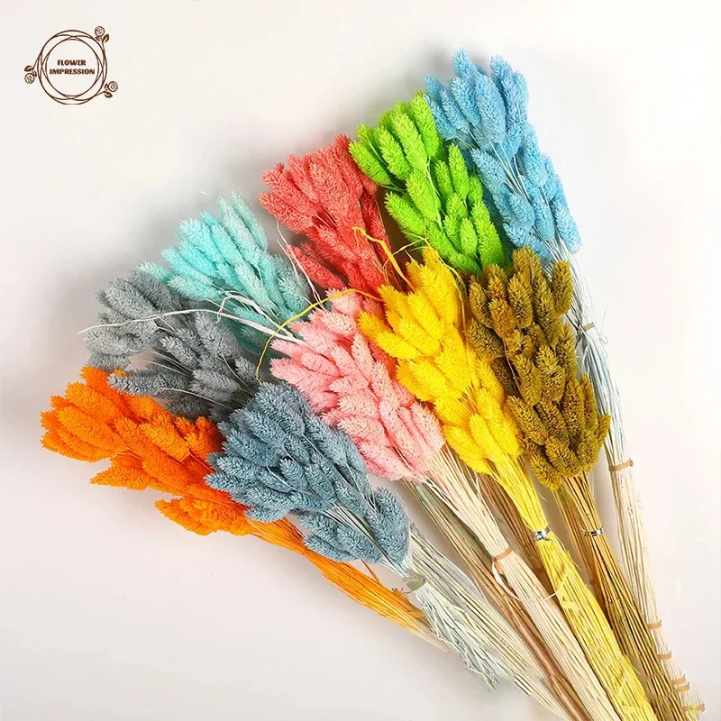 Natural Jewelry Grass Dried Flower Accessories for Home Decor Bouquet Wedding Party Supplies Table Decortion Artificial Flowers
Natural Jewelry Grass Dried Flower Accessories for Home Decor Bouquet Wedding Party Supplies Table Decortion Artificial Flowers