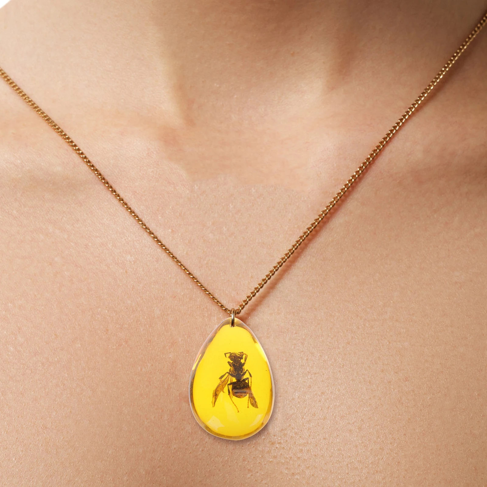 5 Pcs Insect Specimen Amber Artificial Necklace Decoration Crafts Resin Scarab Jewelry
5 Pcs Insect Specimen Amber Artificial Necklace Decoration Crafts Resin Scarab Jewelry