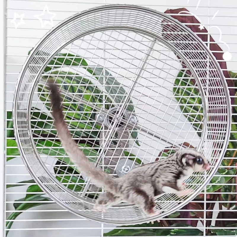 Бесшумное колесо из нержавеющей стали для сахарного планера, подвесная игрушка для домашних животных, спиннер, легко чистящийся планер для обрезки ногтей, игрушка для бега
Бесшумное колесо из нержавеющей стали для сахарного планера, подвесная игрушка для домашних животных, спиннер, легко чистящийся планер для обрезки ногтей, игрушка для бега