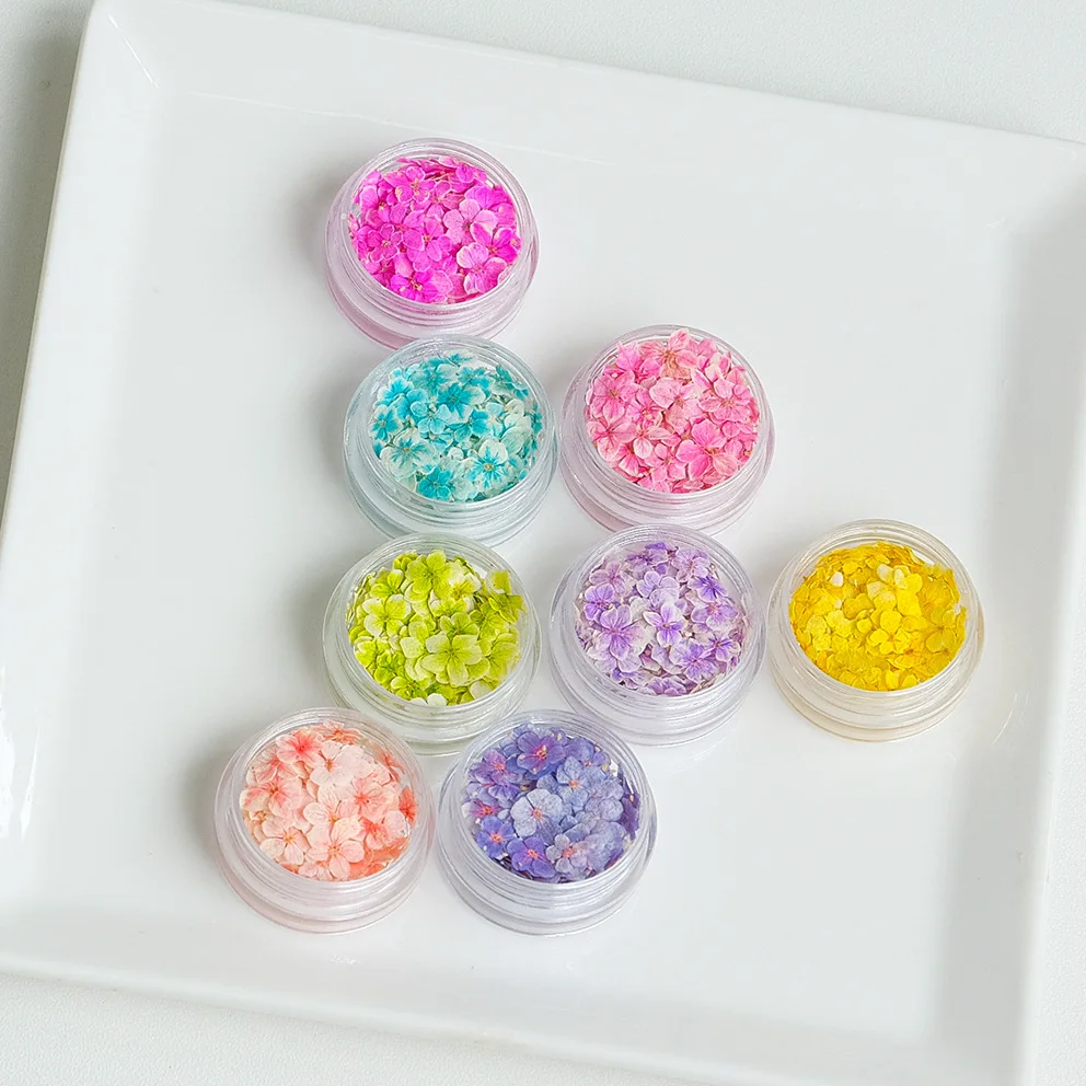 Face Decoration Emerald Beads Pressed Flowers 150 Pieces Small Package Japanese Style Mini Nail Art Dried Flowers Real Flower Small Floral Nail Decorations Wholesale
Face Decoration Emerald Beads Pressed Flowers 150 Pieces Small Package Japanese Style Mini Nail Art Dried Flowers Real Flower Small Floral Nail Decorations Wholesale