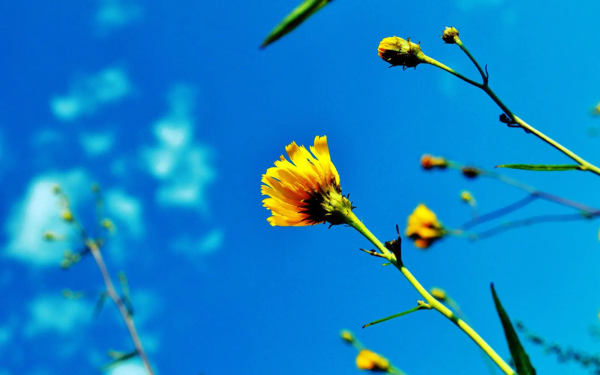 Front Rear Linkage Lighting System LED Light Group for 1/10 RC Crawler Car Traxxas NEW Ford Bronco TRX-4 DIY
Front Rear Linkage Lighting System LED Light Group for 1/10 RC Crawler Car Traxxas NEW Ford Bronco TRX-4 DIY