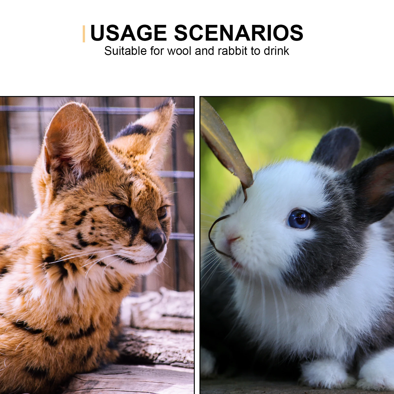 2Pcs Pet Water Dispensers Leakage Proof Small Rabbit Water Bottles for Cage Small Pet Drinkers Guinea Pig Chinchilla Squirrel
2Pcs Pet Water Dispensers Leakage Proof Small Rabbit Water Bottles for Cage Small Pet Drinkers Guinea Pig Chinchilla Squirrel