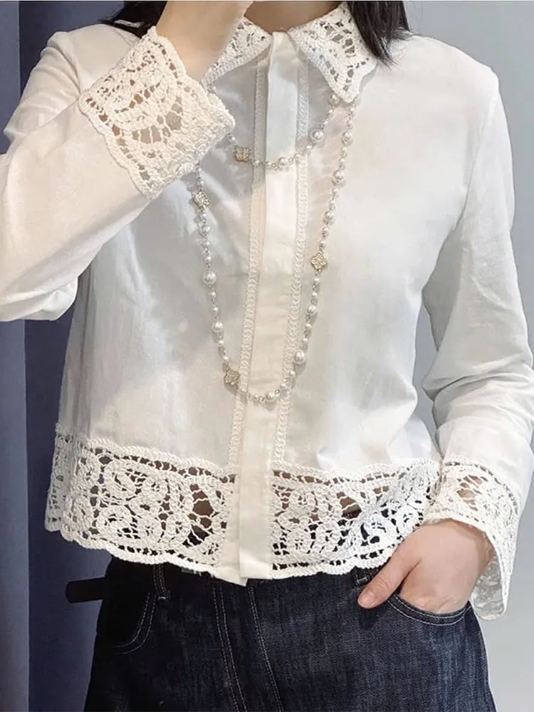 Elegant Crochet Office Top For Women Turn-down Collar Full Sleeve Single Breasted Blouses 2025 Summer Female Commute Outerwear
Elegant Crochet Office Top For Women Turn-down Collar Full Sleeve Single Breasted Blouses 2025 Summer Female Commute Outerwear