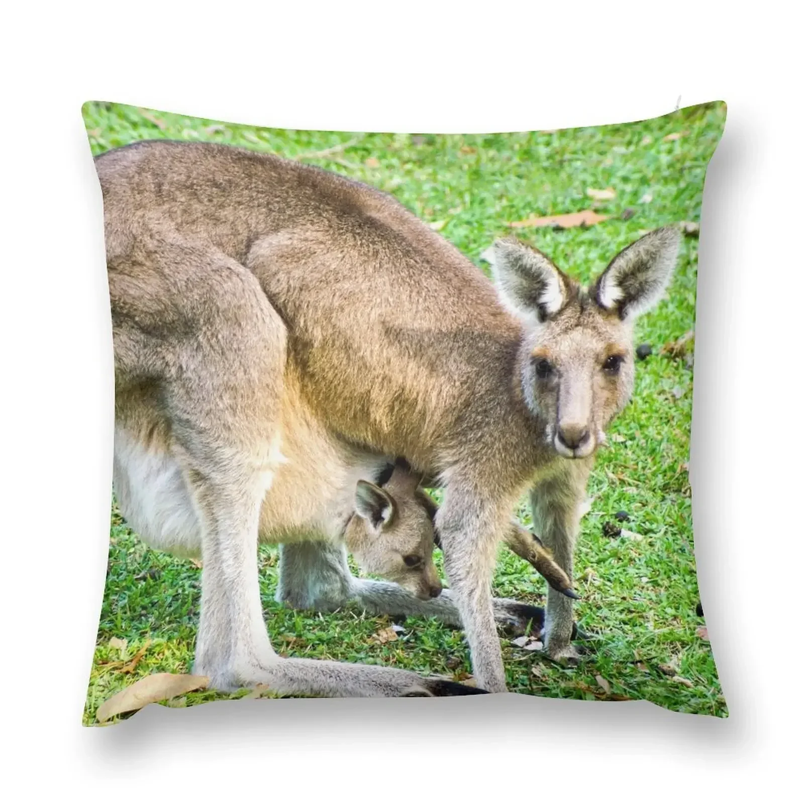 Eastern Grey Kangaroo with Joey Throw Pillow Sofa Cushion autumn pillowcase New year pillow
Eastern Grey Kangaroo with Joey Throw Pillow Sofa Cushion autumn pillowcase New year pillow