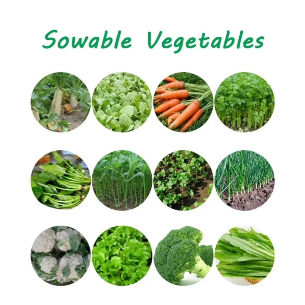 Vegetable Manual Seeder, Carrot Seeder, Small Coriander, Cabbage Spinach, Economical Hand Planter
Vegetable Manual Seeder, Carrot Seeder, Small Coriander, Cabbage Spinach, Economical Hand Planter
