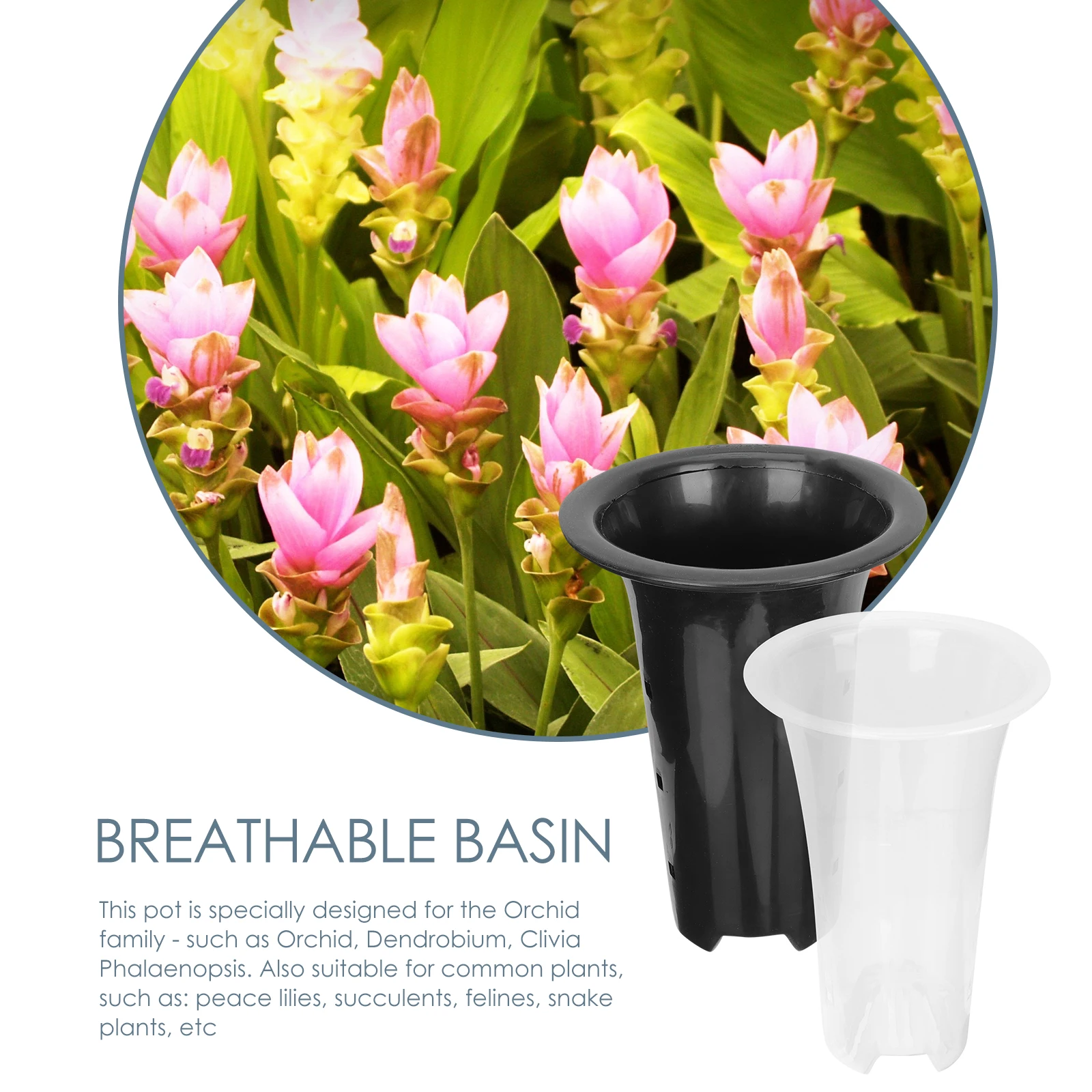 2 Sets Orchid Pots Planters Indoor Nursery Breathable Flower Pot with Holes PP Material Great Drainage Aeration Suitable Balcony
2 Sets Orchid Pots Planters Indoor Nursery Breathable Flower Pot with Holes PP Material Great Drainage Aeration Suitable Balcony