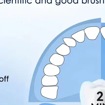 Electric Toothbrush Rotary Rechargeable Electric Toothbrush for Adults Rotating Electric Toothbrushes with 4 Soft Brush Heads
Electric Toothbrush Rotary Rechargeable Electric Toothbrush for Adults Rotating Electric Toothbrushes with 4 Soft Brush Heads
