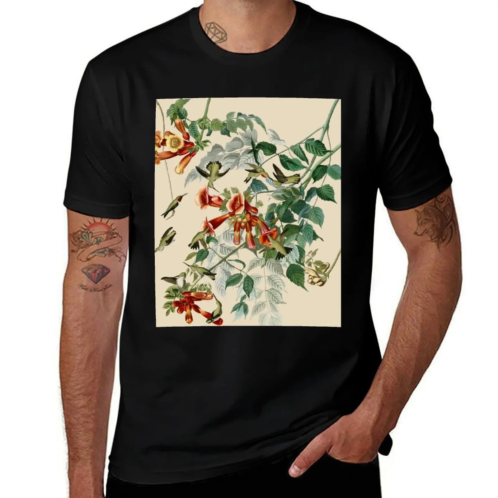 Vintage Hummingbird Illustration - Birds of America - 1800s T-Shirt Blouse cotton graphic tees sublime mens t shirt graphic
Vintage Hummingbird Illustration - Birds of America - 1800s T-Shirt Blouse cotton graphic tees sublime mens t shirt graphic