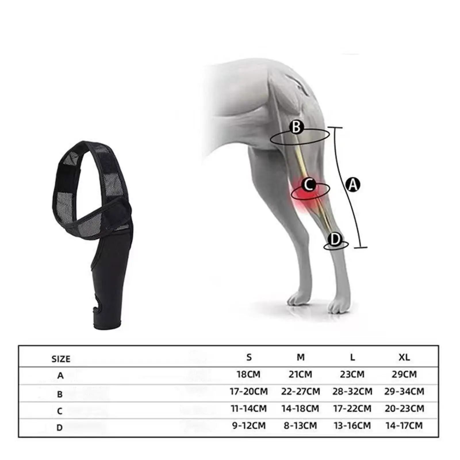 Dog Hind Leg Support Brace Anti Slip Strap Simple Assembly Flexible Lightweight
Dog Hind Leg Support Brace Anti Slip Strap Simple Assembly Flexible Lightweight
