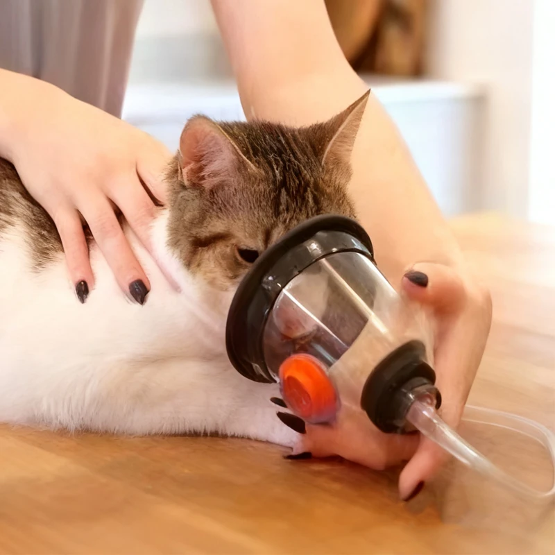 Tierarzt 1Set Veterinary Oxygen Mask Oxygen Inhalation Atomizing Mask for Animals Dog Cat Pet Clinic Supplies 5 Sizes
Tierarzt 1Set Veterinary Oxygen Mask Oxygen Inhalation Atomizing Mask for Animals Dog Cat Pet Clinic Supplies 5 Sizes