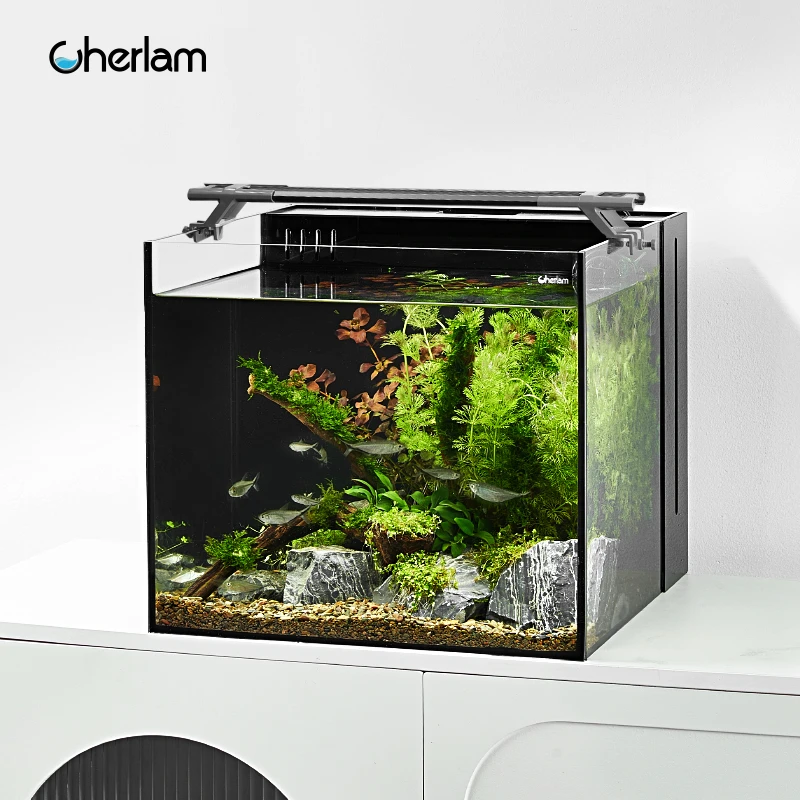 sttl Cherlam Factory Wholesale Desktop Aquarium Ultra-clear Glass Back Filter Fish tank for Home Office Decoration
sttl Cherlam Factory Wholesale Desktop Aquarium Ultra-clear Glass Back Filter Fish tank for Home Office Decoration