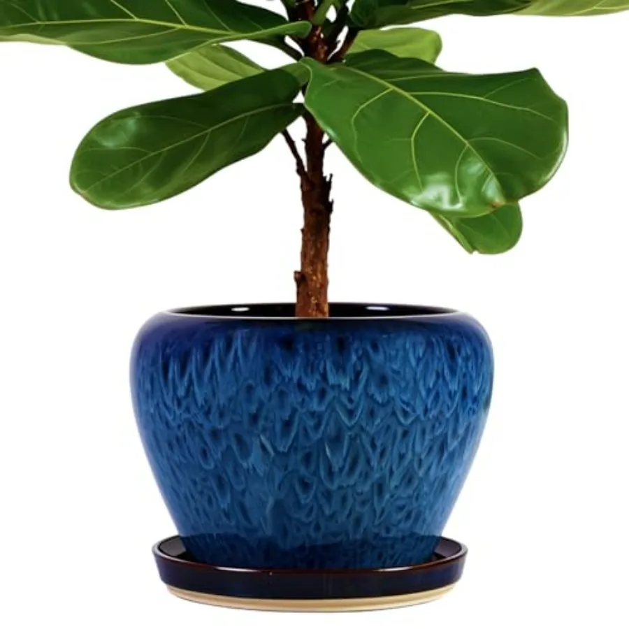 10 Inch Large Plant Pots with Drainage Hole and Saucer, Large Ceramic Decorative Flower Pot for Plants Indoor Outdoor Planter,
10 Inch Large Plant Pots with Drainage Hole and Saucer, Large Ceramic Decorative Flower Pot for Plants Indoor Outdoor Planter,