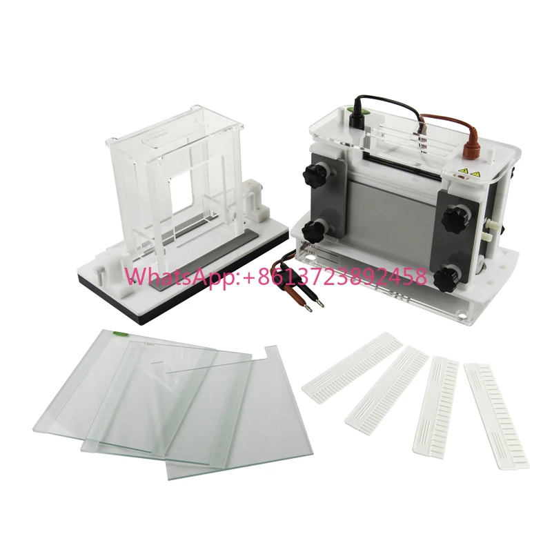 Vertical Electrophoresis System Electrophoresis Tank
Vertical Electrophoresis System Electrophoresis Tank