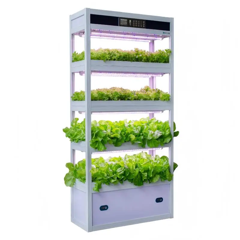 For Smart Soilless Vrtical Hydroponics System For Indoor Lettuce Cultivation - Automated Growing Farm
For Smart Soilless Vrtical Hydroponics System For Indoor Lettuce Cultivation - Automated Growing Farm