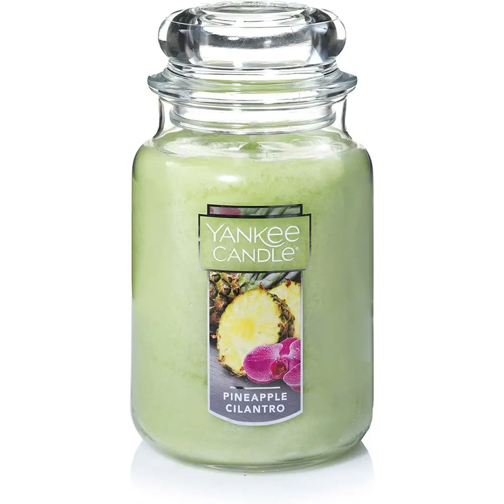 Large 22oz Single Wick Candle with Cilantro Scent, Over 110 Hours Burn Time
Large 22oz Single Wick Candle with Cilantro Scent, Over 110 Hours Burn Time