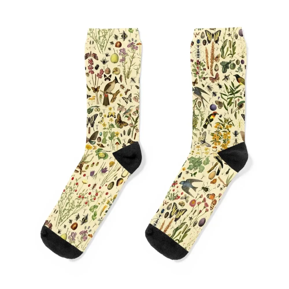 American Biology - SPRING print Socks cotton Rugby new year Socks For Women Men's
American Biology - SPRING print Socks cotton Rugby new year Socks For Women Men's