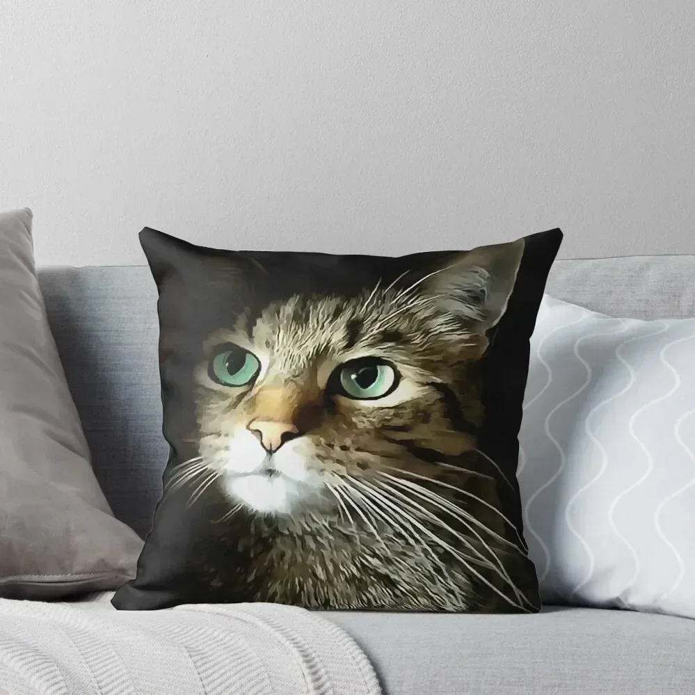 Tabby Cat With Green Eyes Isolated On Black Throw Pillow pillow cover luxury Cushions For Sofa pillow
Tabby Cat With Green Eyes Isolated On Black Throw Pillow pillow cover luxury Cushions For Sofa pillow