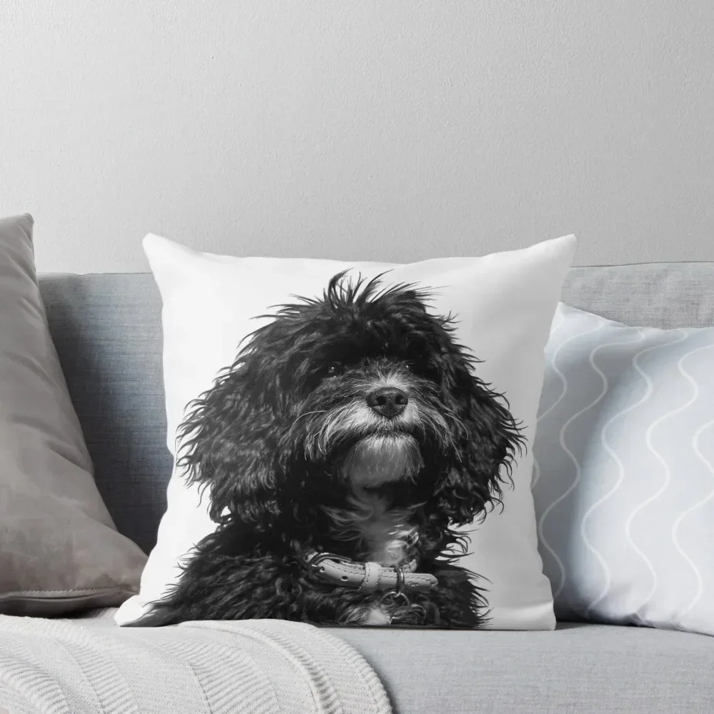 Puppy Dog Throw Pillow Decorative Sofa Cushions Cushions For Sofa Sofa Cushions pillow
Puppy Dog Throw Pillow Decorative Sofa Cushions Cushions For Sofa Sofa Cushions pillow