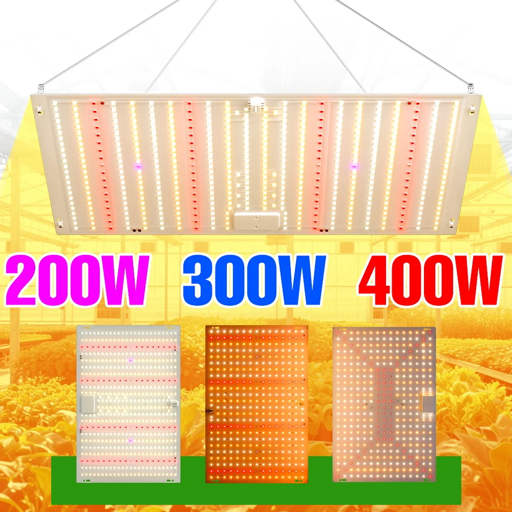 400W Full Spectrum LED Plant Light Quantum Board Grow Lamp Indoor Seeds Cultivation Lamps Greenhouse Tent Fill Lighting100-277V
400W Full Spectrum LED Plant Light Quantum Board Grow Lamp Indoor Seeds Cultivation Lamps Greenhouse Tent Fill Lighting100-277V
