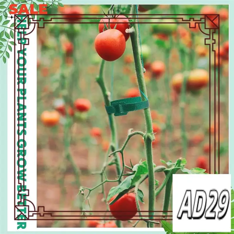 D9-120 шт. многоразовые крепежные кабельные стяжки, регулируемые садовые стяжки для поддержки растений, 8 дюймов, зеленый
D9-120 шт. многоразовые крепежные кабельные стяжки, регулируемые садовые стяжки для поддержки растений, 8 дюймов, зеленый