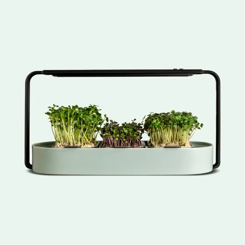 Smart Home Kits & Systems Hydroponics Indoor Planter Led Your Own Kit Garden Plant Kit
Smart Home Kits & Systems Hydroponics Indoor Planter Led Your Own Kit Garden Plant Kit