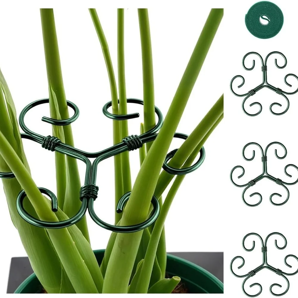 Комплект из 4 опор для монстеры (Monstera Deliciosa) из нержавеющей стали с зеленой обвязочной лентой для вертикального выращивания растений в помещении
Комплект из 4 опор для монстеры (Monstera Deliciosa) из нержавеющей стали с зеленой обвязочной лентой для вертикального выращивания растений в помещении