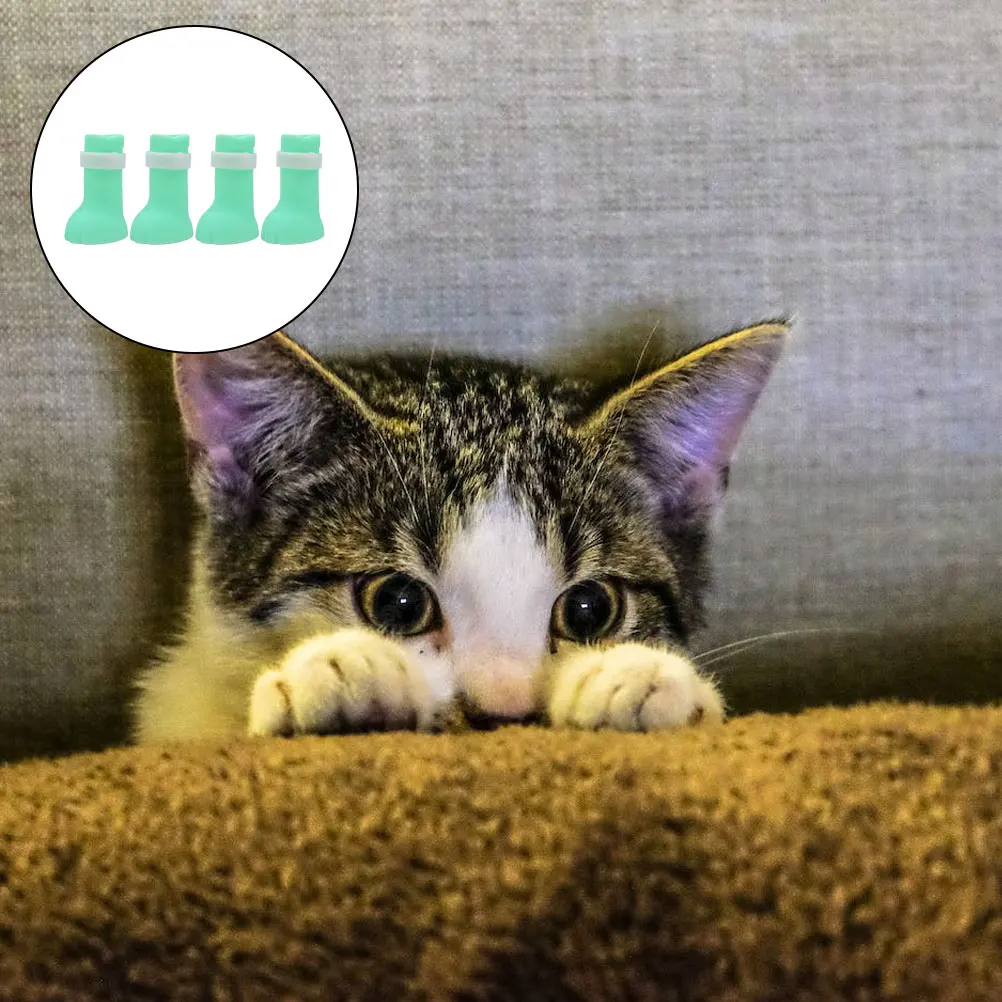 4 Pcs Silicone Cat Shoes Shower Boots Kitten Grooming Supplies Claw Covers Protective Booties Durable Adjustable Pet Hospital
4 Pcs Silicone Cat Shoes Shower Boots Kitten Grooming Supplies Claw Covers Protective Booties Durable Adjustable Pet Hospital