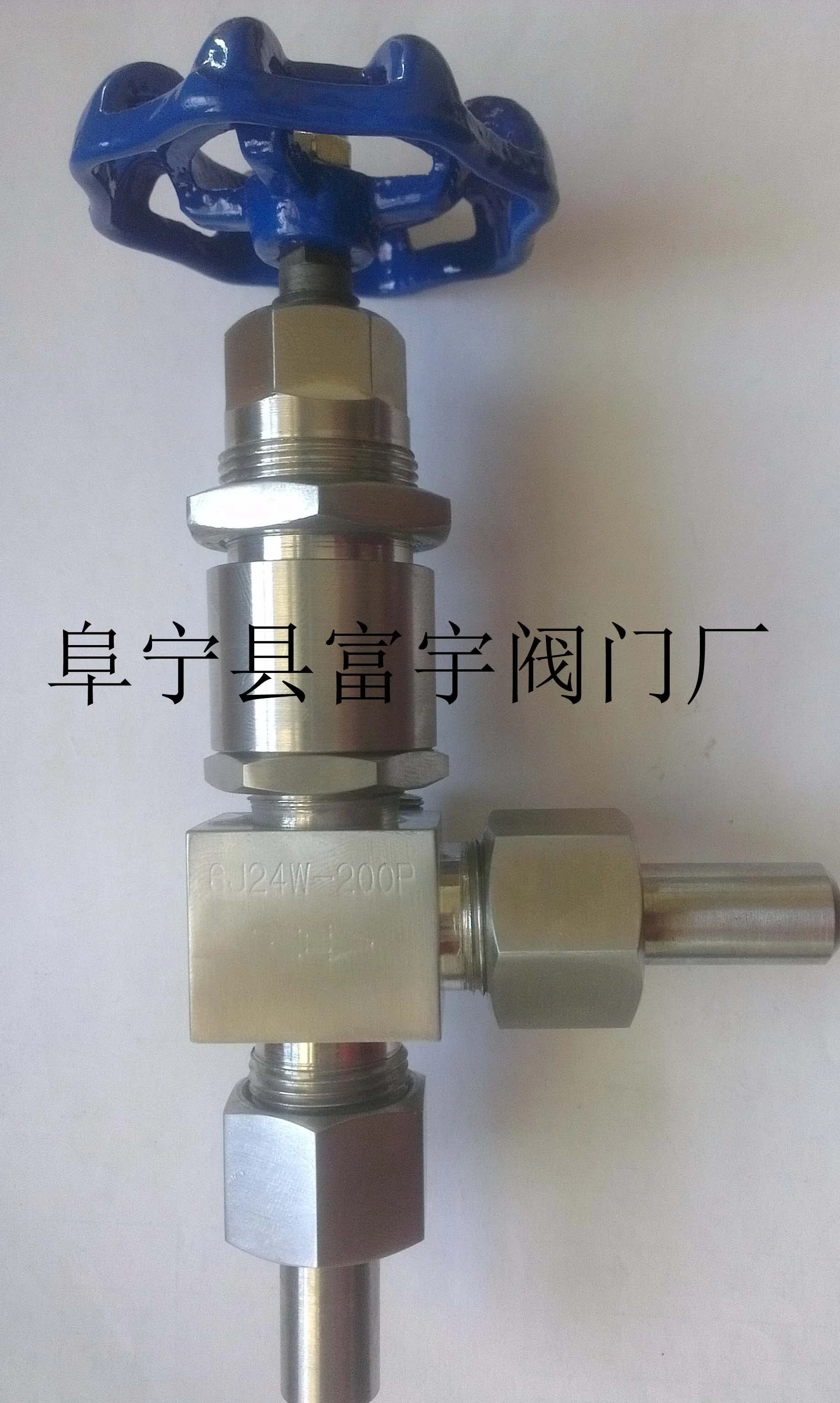 Angle Needle Valve Globe Valve for Power Petrochemical Stainless Steel Instrument Valve (6J24W-200P)
Angle Needle Valve Globe Valve for Power Petrochemical Stainless Steel Instrument Valve (6J24W-200P)