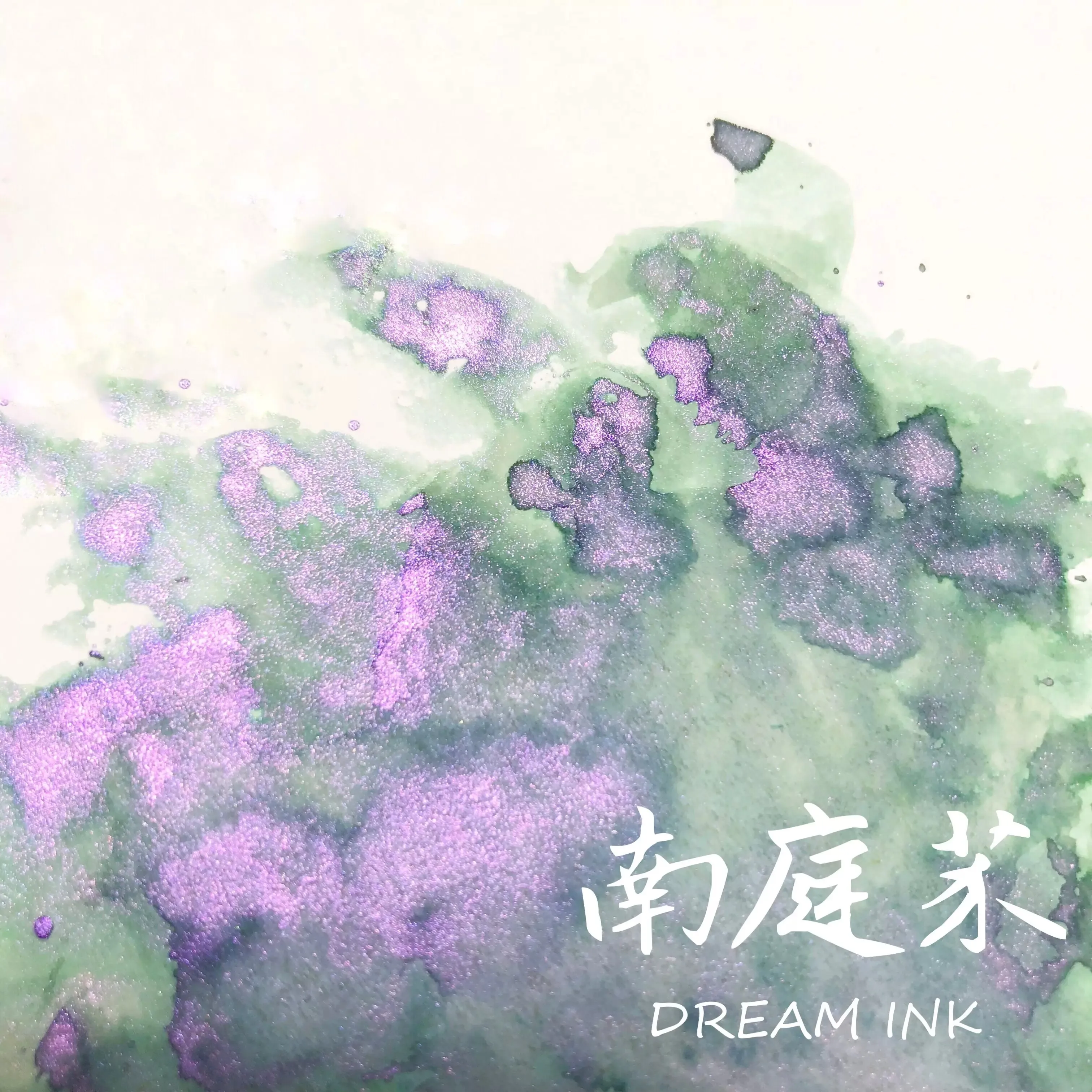 DREAMINK Nantingmo Color Sheen Fountain Pen Ink 5/20ml Shimmer Calligraphy Drawing Ink Office School Supplies Stationery
DREAMINK Nantingmo Color Sheen Fountain Pen Ink 5/20ml Shimmer Calligraphy Drawing Ink Office School Supplies Stationery