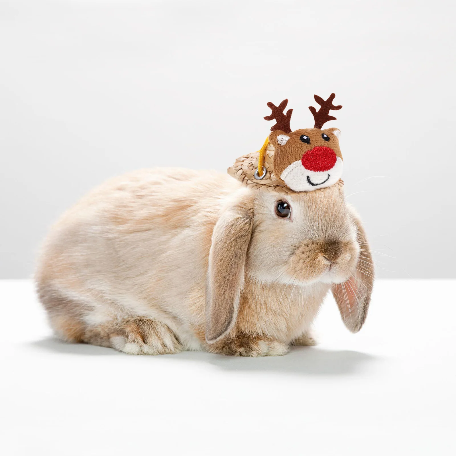Christmas Costumes Hamster Elk Hat Pet Accessory Chinchilla Hats Tiny Cartoon Animal Mini Knitting
Christmas Costumes Hamster Elk Hat Pet Accessory Chinchilla Hats Tiny Cartoon Animal Mini Knitting