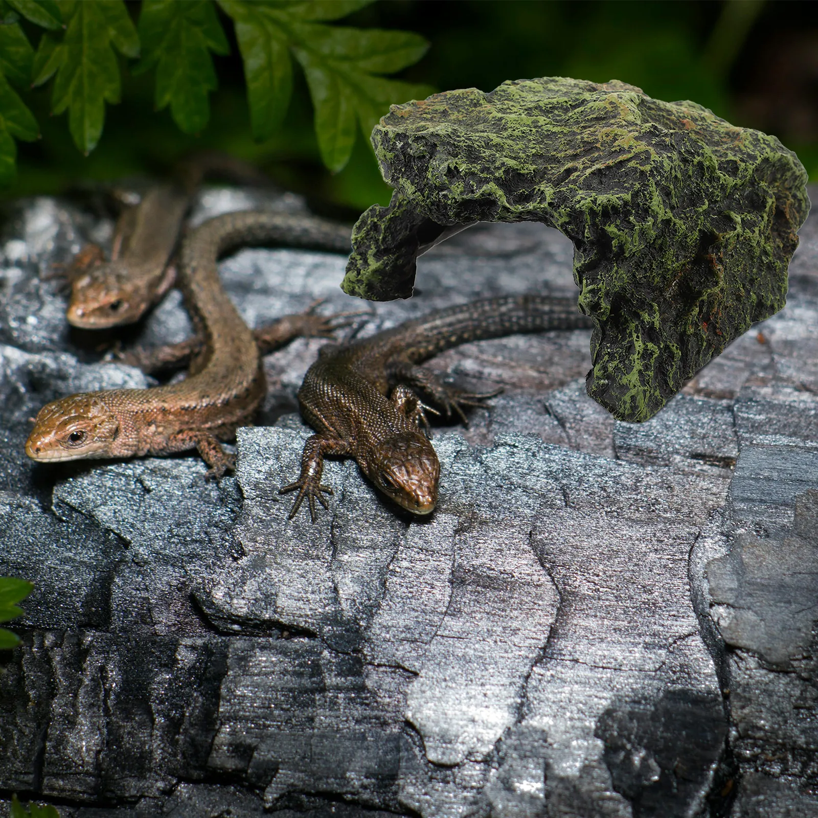 Искусственная смоляная платформа-убежище для черепах, имитация каменной пещеры, натуральное убежище для рептилий, декор для небольших домашних животных
Искусственная смоляная платформа-убежище для черепах, имитация каменной пещеры, натуральное убежище для рептилий, декор для небольших домашних животных