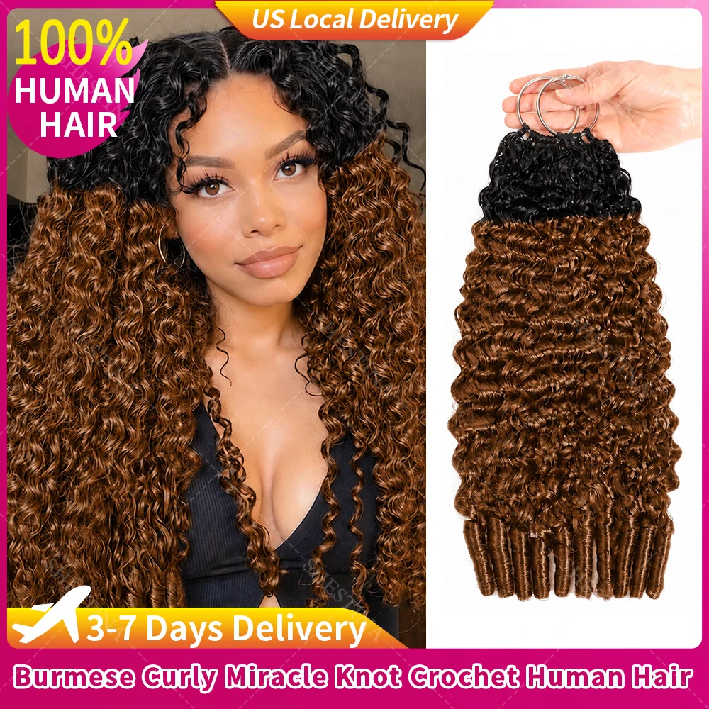 Burmese Curly Miracle Knots Crochet Human Hair Extensions For Braids 15A T1B/30 Brown Highlight Crochet Bundles 100% Human Hair
Burmese Curly Miracle Knots Crochet Human Hair Extensions For Braids 15A T1B/30 Brown Highlight Crochet Bundles 100% Human Hair