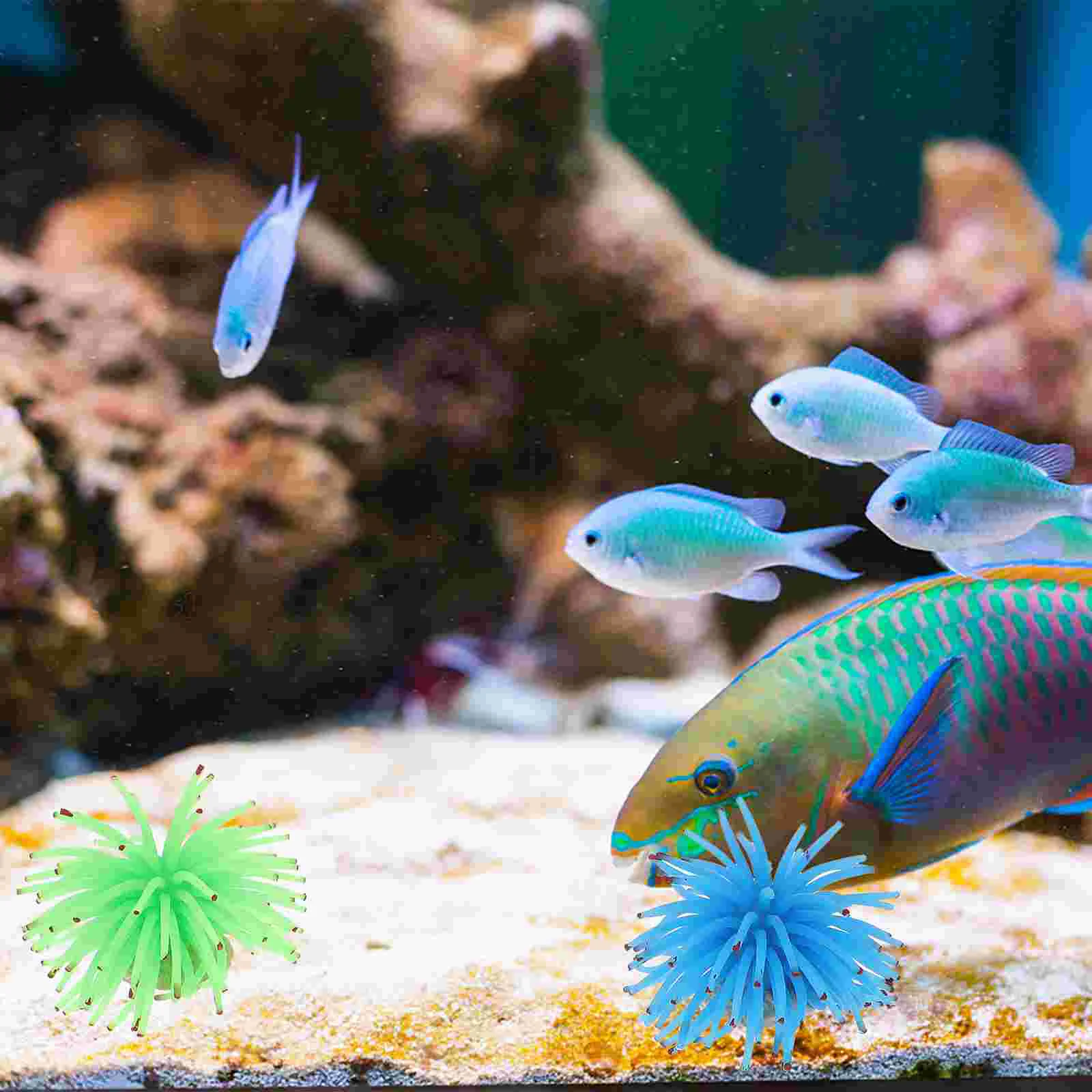 6 Pcs 7x7cm Small Simulated Sea Urchins Table Ornament Terrarium Decoration for Aquarium Fish Tank pet nest decor
6 Pcs 7x7cm Small Simulated Sea Urchins Table Ornament Terrarium Decoration for Aquarium Fish Tank pet nest decor