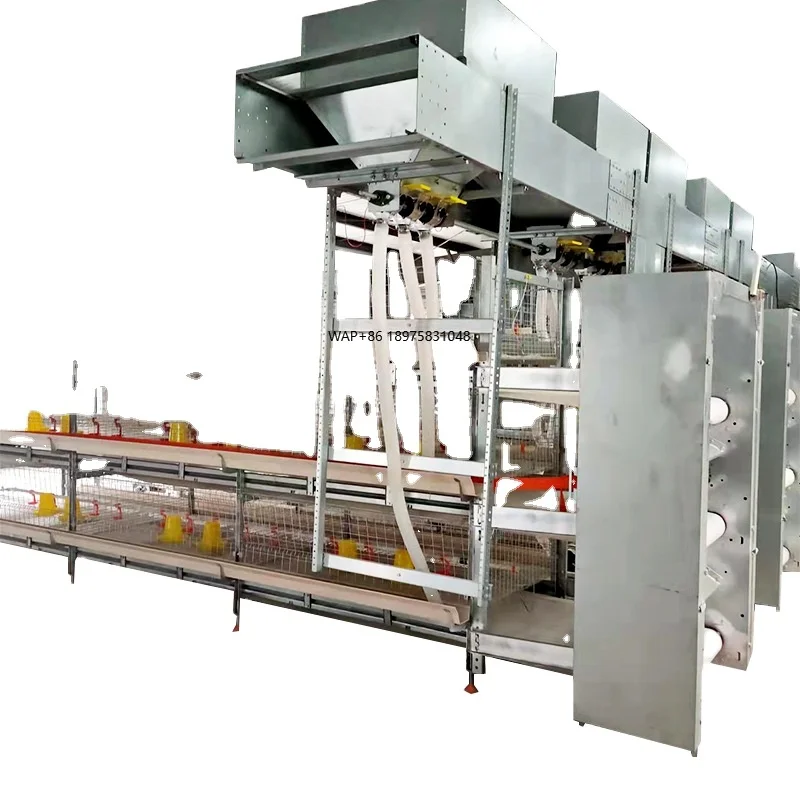 Hot-selling factory price H-type poultry equipment Broiler layer chicken cage and breeding system complete set
Hot-selling factory price H-type poultry equipment Broiler layer chicken cage and breeding system complete set