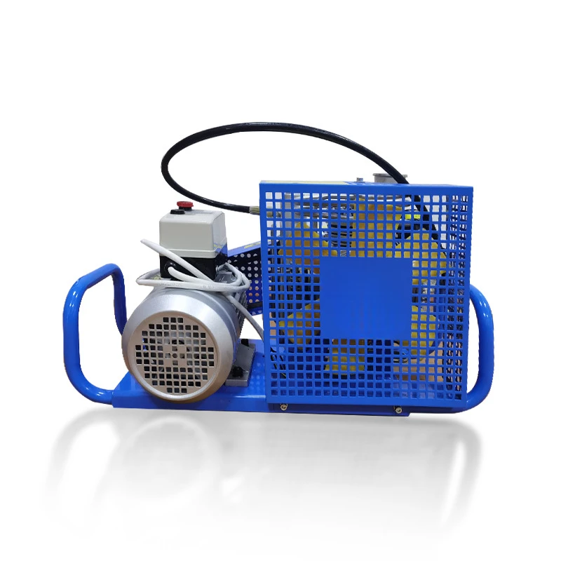 Fire diving gas cylinder high pressure air pump electric pump air respirator air pump
Fire diving gas cylinder high pressure air pump electric pump air respirator air pump