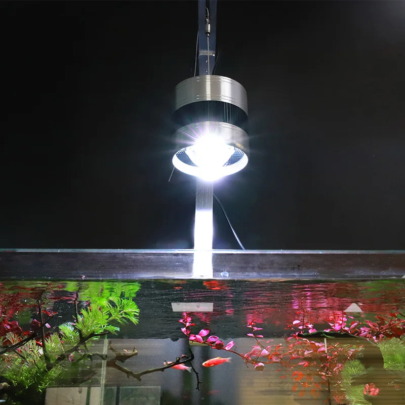 Cheap Price Waterproof Led Aluminum Alloy Full Spectrum Water Grass Lamp Aquarium Light Led Aquarium Lighting
Cheap Price Waterproof Led Aluminum Alloy Full Spectrum Water Grass Lamp Aquarium Light Led Aquarium Lighting