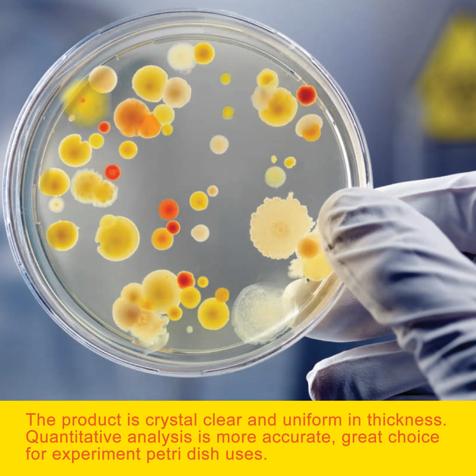 30Pcs Sterile Plastic Petri Dishes Clear Uniform Thickness for Accurate Quantitative Analysis Petri Dishes Culture Dish 
30Pcs Sterile Plastic Petri Dishes Clear Uniform Thickness for Accurate Quantitative Analysis Petri Dishes Culture Dish