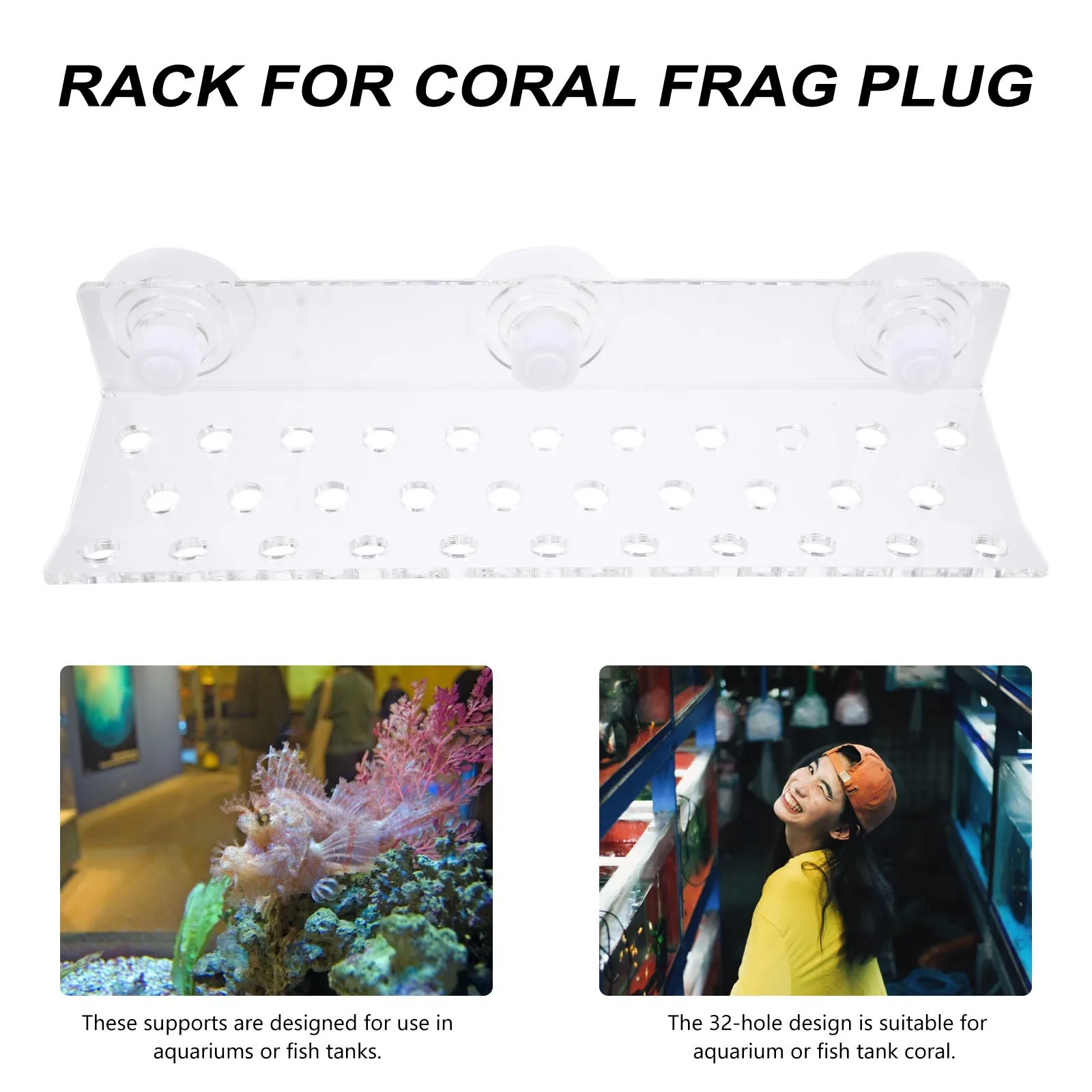 Stand Acrylic Aquarium Rack Rack For Tank Coral Support Holder Acrylic Coral Bracket
Stand Acrylic Aquarium Rack Rack For Tank Coral Support Holder Acrylic Coral Bracket