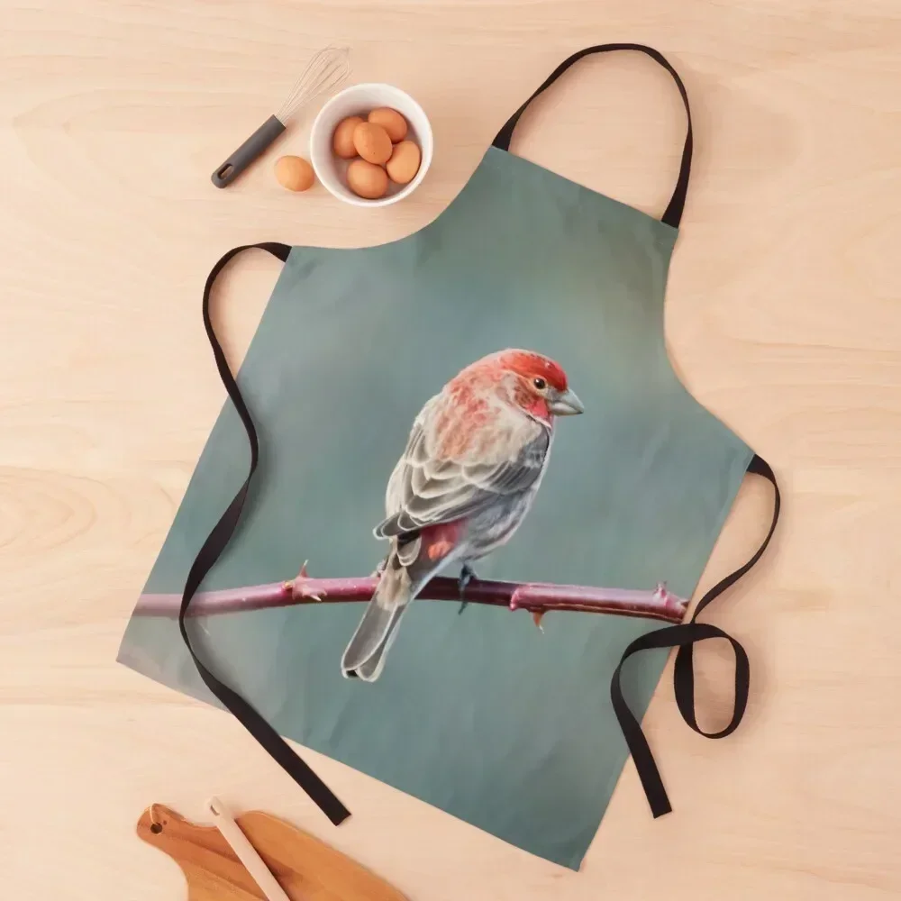 House finch Apron cleanings Household Items kitchen clothes for men All For Kitchen And Home Apron
House finch Apron cleanings Household Items kitchen clothes for men All For Kitchen And Home Apron