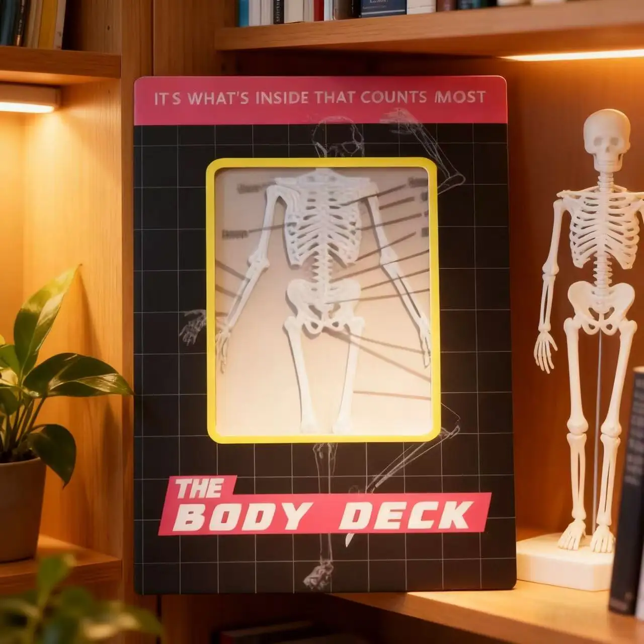 Human Skeleton Knowledge Poker Cards, Transparent PVC Waterproof Cards, Educational Gifts and Collectibles for Medical Students
Human Skeleton Knowledge Poker Cards, Transparent PVC Waterproof Cards, Educational Gifts and Collectibles for Medical Students