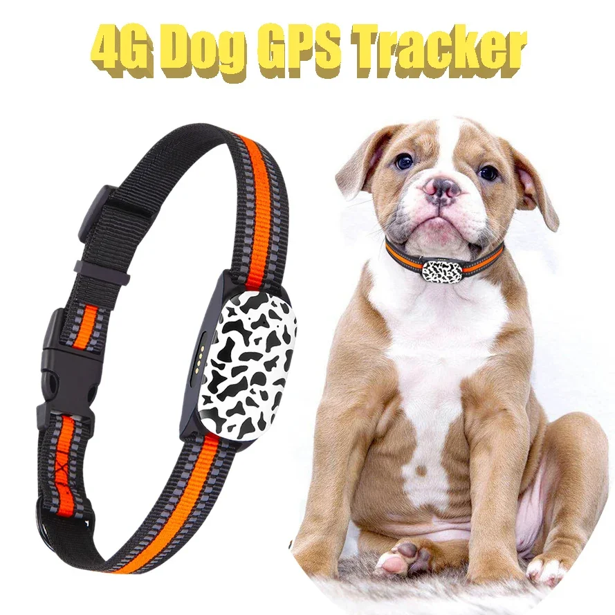 4G Pet Dog Tracker Gps Locator IP67 Waterproof Dog Tracking Collar with Google Map Real Time Tracking for Pets Cat GPS Locator
4G Pet Dog Tracker Gps Locator IP67 Waterproof Dog Tracking Collar with Google Map Real Time Tracking for Pets Cat GPS Locator