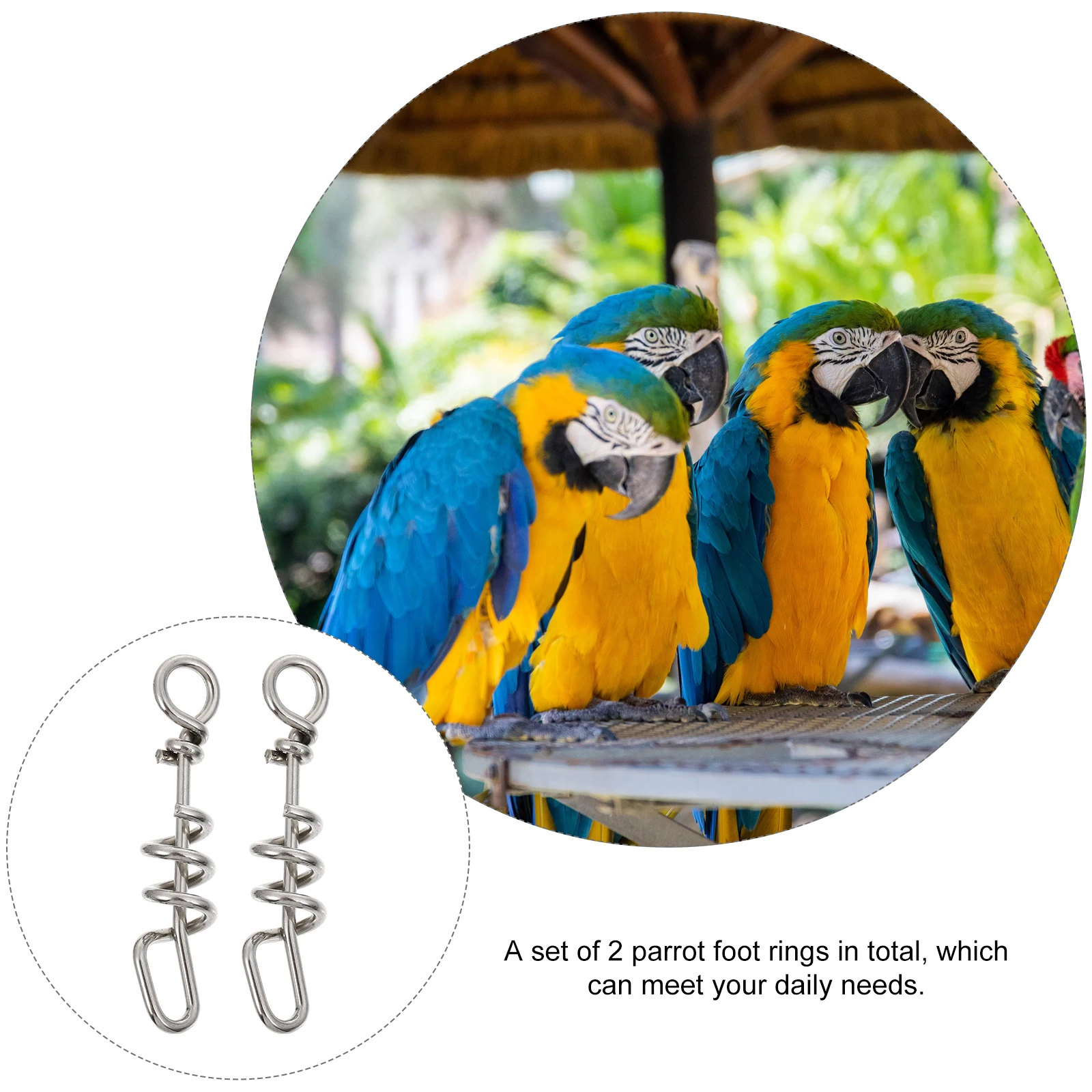 2 Pcs Anti-escaping Buckles Parrot Stand Rack Foot Birds Parrots Rings to Open Anklets Stainless Steel Clasps
2 Pcs Anti-escaping Buckles Parrot Stand Rack Foot Birds Parrots Rings to Open Anklets Stainless Steel Clasps