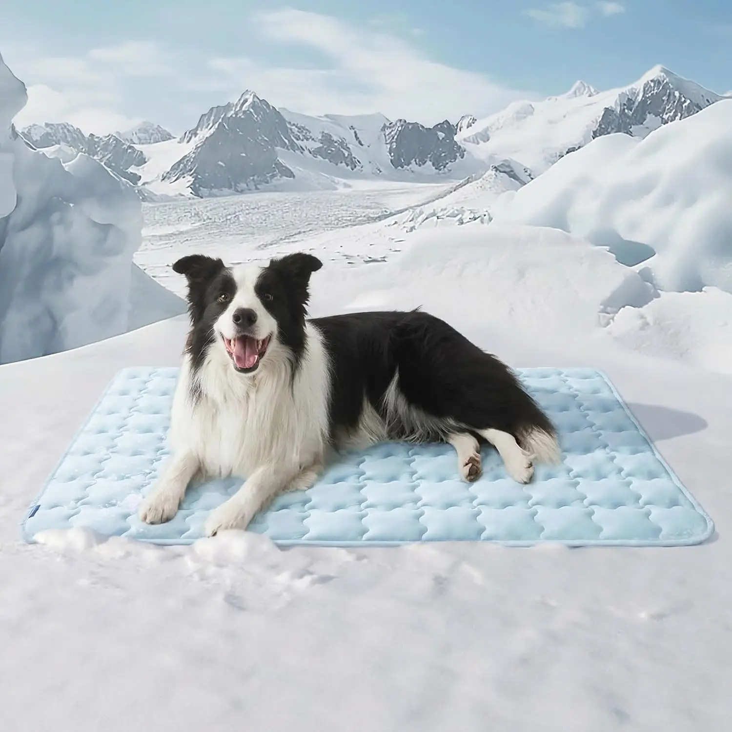 Extra Large Cooling Dog Mat, Thin Breathable Crate Pad for Summer, Portable Washable Kennel Bed with Chill Fabric, Blue
Extra Large Cooling Dog Mat, Thin Breathable Crate Pad for Summer, Portable Washable Kennel Bed with Chill Fabric, Blue