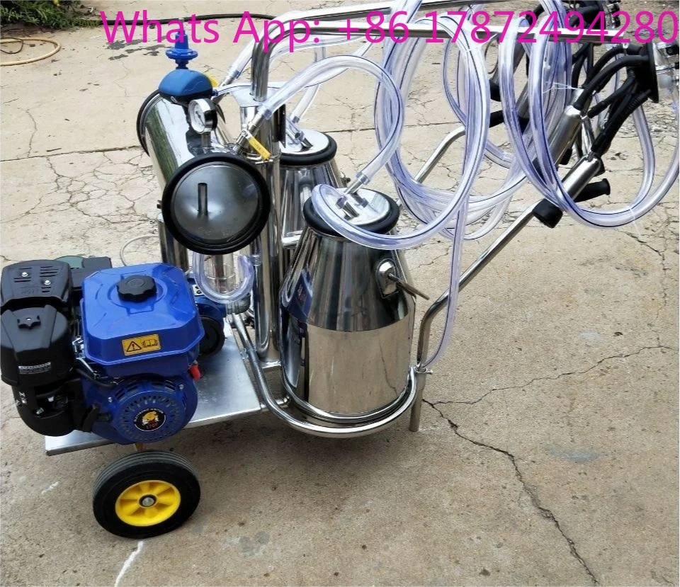 Bucket Cow Milking Machine Transparent Bucket Milking Machine Vacuum Pump Type 90*78*89cm Provided 2 Years CN JIA 220V
Bucket Cow Milking Machine Transparent Bucket Milking Machine Vacuum Pump Type 90*78*89cm Provided 2 Years CN JIA 220V
