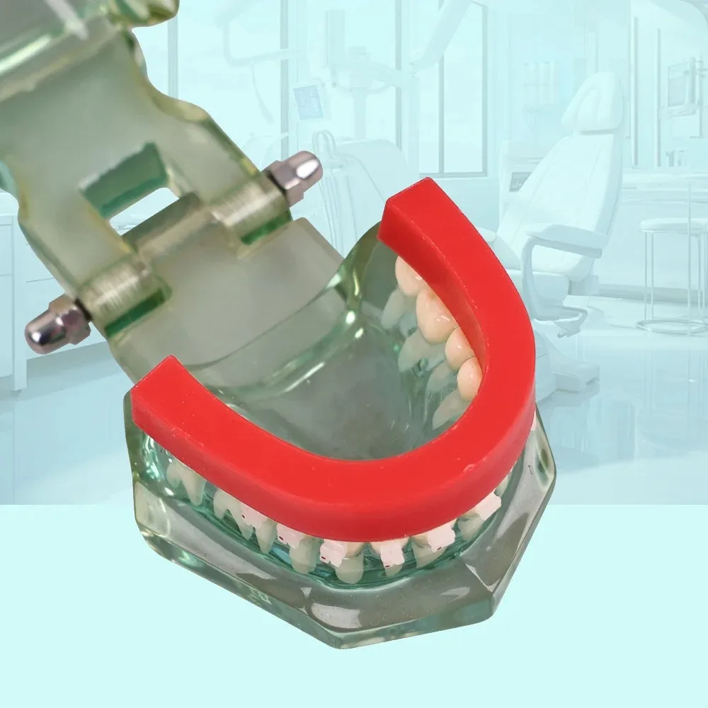 ELIJAH 12 шт./кор. U-образная стоматологическая базовая пластина, воск для окклюзионной обода, модель литья зубных протезов, блок для укуса, материал для стоматологической лаборатории
ELIJAH 12 шт./кор. U-образная стоматологическая базовая пластина, воск для окклюзионной обода, модель литья зубных протезов, блок для укуса, материал для стоматологической лаборатории