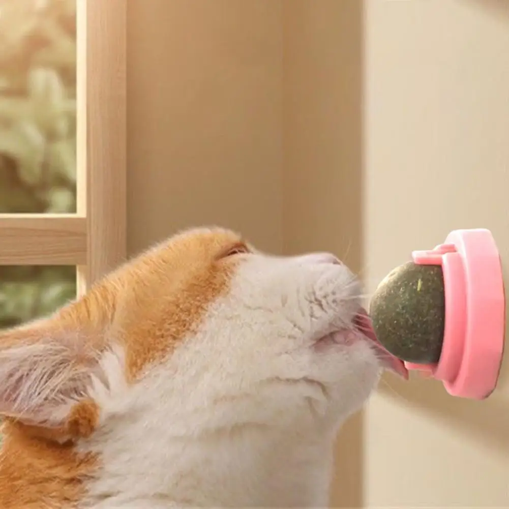 Pet Toy Exquisite Easy to Paste Comfortable Cat Mint Ball Licking Cleaning Toys for Floor
Pet Toy Exquisite Easy to Paste Comfortable Cat Mint Ball Licking Cleaning Toys for Floor