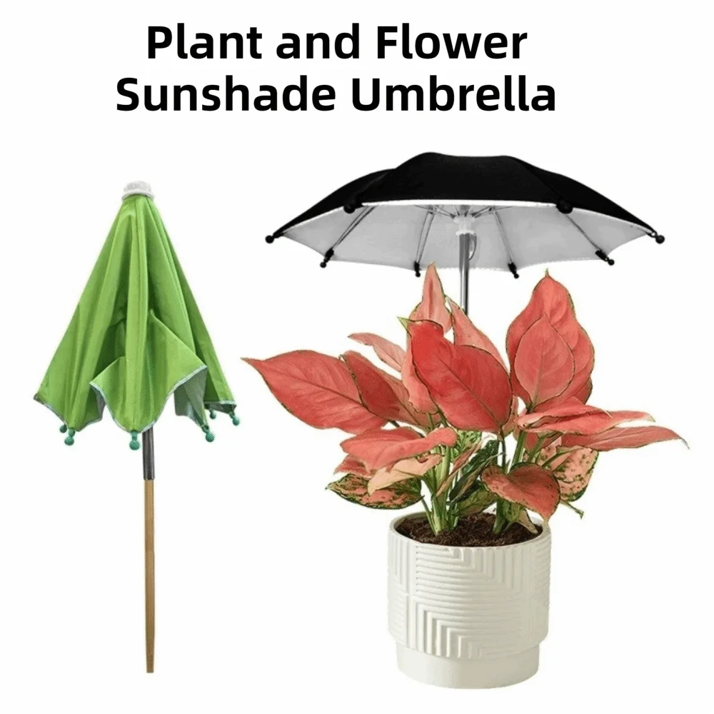 Detachable Plant Shade Umbrella UV Protection Decorative Garden Plant Umbrella Weatherproof Outdoor Sunblock Cover Flower Beds
Detachable Plant Shade Umbrella UV Protection Decorative Garden Plant Umbrella Weatherproof Outdoor Sunblock Cover Flower Beds